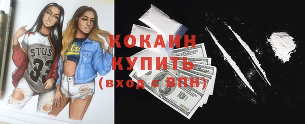 прущие грибы Елабуга