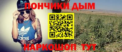 прущий лед Кингисепп