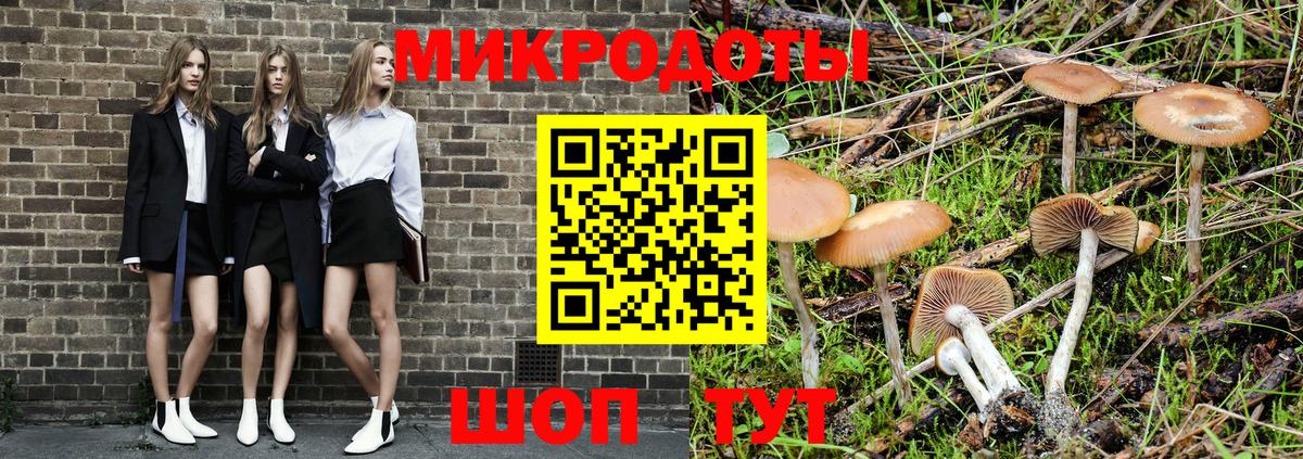 Псилоцибиновые грибы Psilocybine cubensis Новочебоксарск